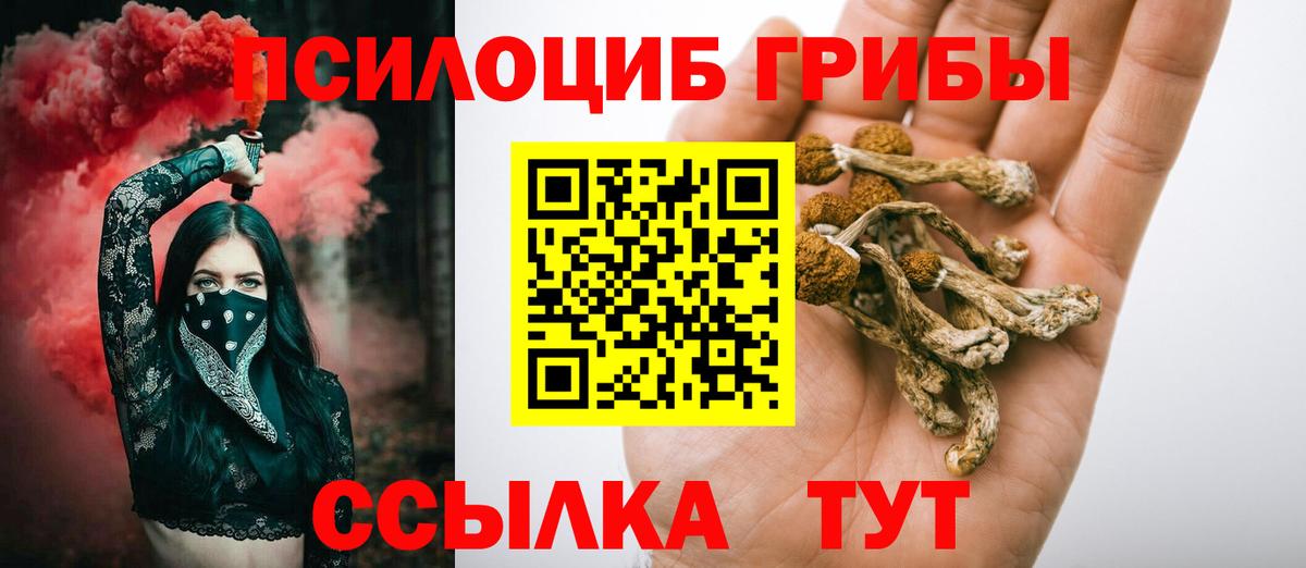 Арзамас  Галлюциногенные грибы Magic Shrooms  Вход с VPN 